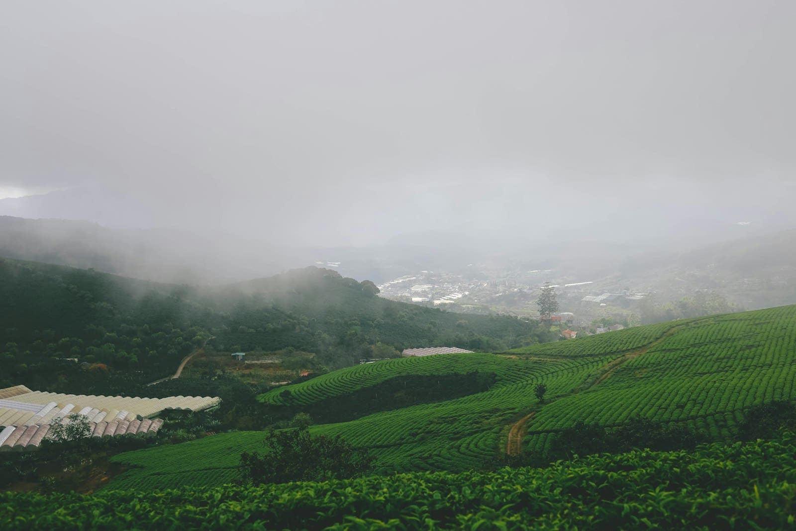 Mist moving across planted highland ridges above a valley town.