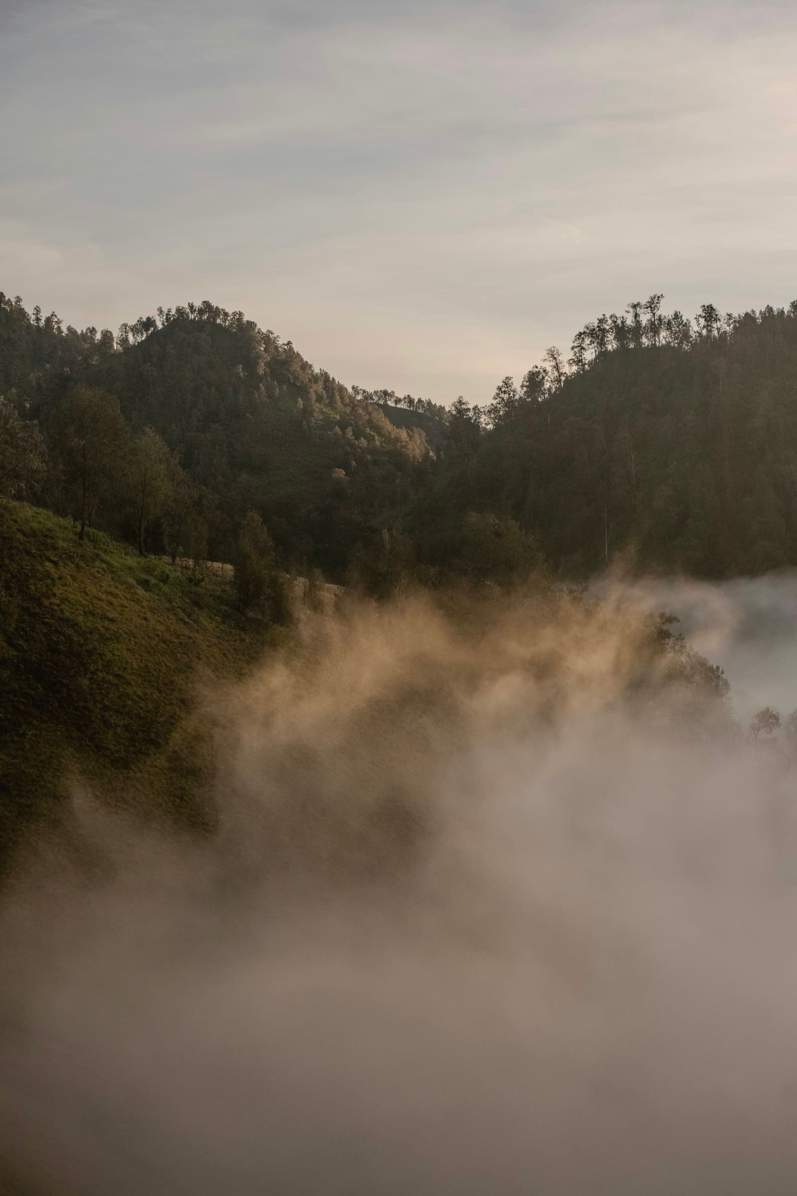 Low sun filling a fogged valley between forested mountains.